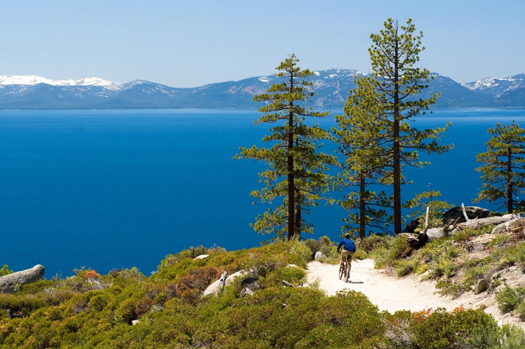 Family Hiker's Haven: Forested 3br Pets Holiday home South Lake Tahoe